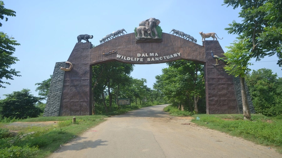 Dalma Wildlife Sanctuary, Jamshedpur